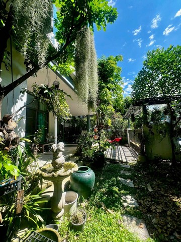 ประกาศฟรี! ซื้อ-ขาย-เช่า คอนโด บ้าน ทาวน์โฮม ที่ดิน และพื้นที่เชิงพาณิชย์ทั่วประเทศไทย ทุกทำเล ทุกงบประมาณ ไม่มีค่าใช้จ่าย ลงง่าย ขายไว เข้าถึงผู้ซื้อโดยตรง 2 507494pic1.jpg