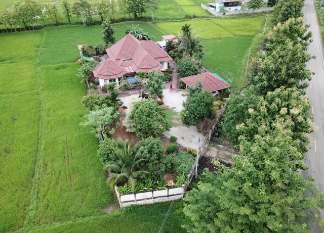 ประกาศฟรี! ซื้อ-ขาย-เช่า คอนโด บ้าน ทาวน์โฮม ที่ดิน และพื้นที่เชิงพาณิชย์ทั่วประเทศไทย ทุกทำเล ทุกงบประมาณ ไม่มีค่าใช้จ่าย ลงง่าย ขายไว เข้าถึงผู้ซื้อโดยตรง 2 245454pic1.jpg