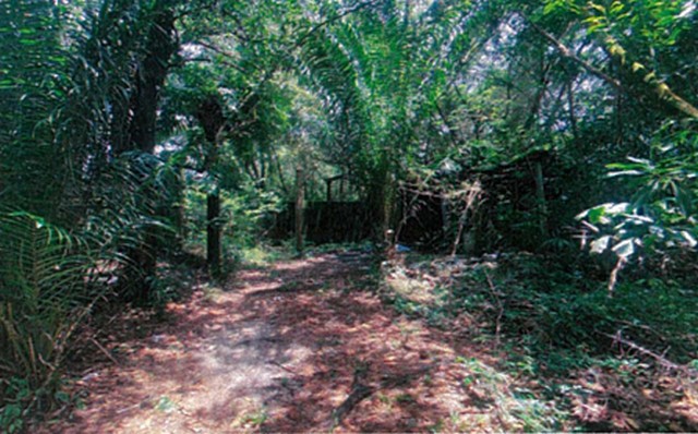 ประกาศฟรี! ซื้อ-ขาย-เช่า คอนโด บ้าน ทาวน์โฮม ที่ดิน และพื้นที่เชิงพาณิชย์ทั่วประเทศไทย ทุกทำเล ทุกงบประมาณ ไม่มีค่าใช้จ่าย ลงง่าย ขายไว เข้าถึงผู้ซื้อโดยตรง 5 243695pic4.jpg