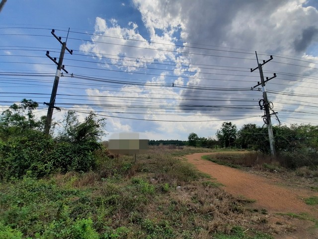 ประกาศฟรี! ซื้อ-ขาย-เช่า คอนโด บ้าน ทาวน์โฮม ที่ดิน และพื้นที่เชิงพาณิชย์ทั่วประเทศไทย ทุกทำเล ทุกงบประมาณ ไม่มีค่าใช้จ่าย ลงง่าย ขายไว เข้าถึงผู้ซื้อโดยตรง 5 243469pic4.jpg