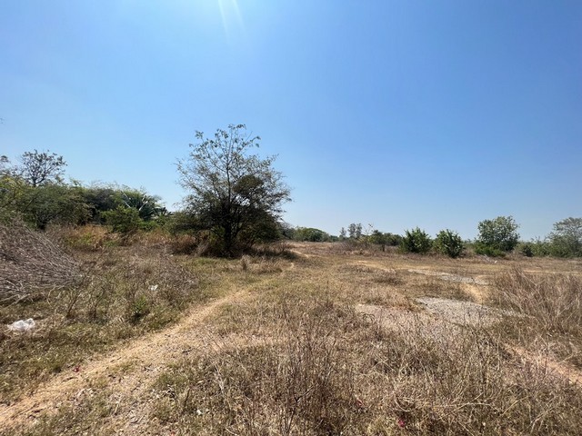 ประกาศฟรี! ซื้อ-ขาย-เช่า คอนโด บ้าน ทาวน์โฮม ที่ดิน และพื้นที่เชิงพาณิชย์ทั่วประเทศไทย ทุกทำเล ทุกงบประมาณ ไม่มีค่าใช้จ่าย ลงง่าย ขายไว เข้าถึงผู้ซื้อโดยตรง 2 243330pic1.jpg