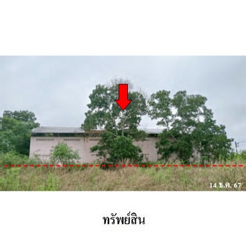 ประกาศฟรี! ซื้อ-ขาย-เช่า คอนโด บ้าน ทาวน์โฮม ที่ดิน และพื้นที่เชิงพาณิชย์ทั่วประเทศไทย ทุกทำเล ทุกงบประมาณ ไม่มีค่าใช้จ่าย ลงง่าย ขายไว เข้าถึงผู้ซื้อโดยตรง 3 230855pic2.jpg