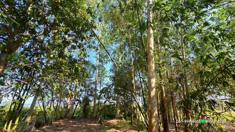 ประกาศฟรี! ซื้อ-ขาย-เช่า คอนโด บ้าน ทาวน์โฮม ที่ดิน และพื้นที่เชิงพาณิชย์ทั่วประเทศไทย ทุกทำเล ทุกงบประมาณ ไม่มีค่าใช้จ่าย ลงง่าย ขายไว เข้าถึงผู้ซื้อโดยตรง 5 508602pic4.jpg