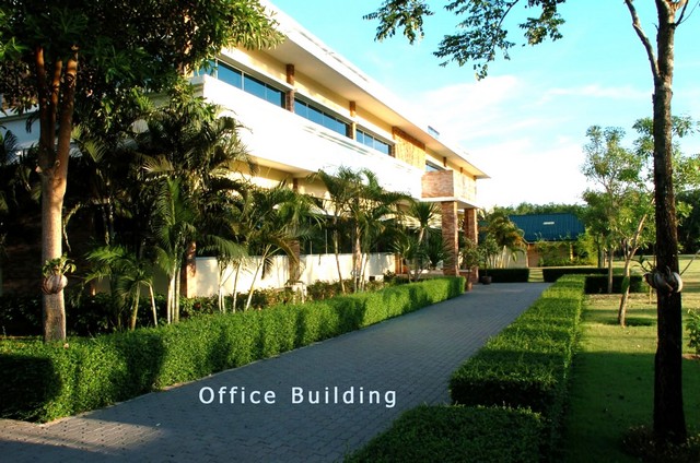 ประกาศฟรี! ซื้อ-ขาย-เช่า คอนโด บ้าน ทาวน์โฮม ที่ดิน และพื้นที่เชิงพาณิชย์ทั่วประเทศไทย ทุกทำเล ทุกงบประมาณ ไม่มีค่าใช้จ่าย ลงง่าย ขายไว เข้าถึงผู้ซื้อโดยตรง 5 312486pic4.jpg