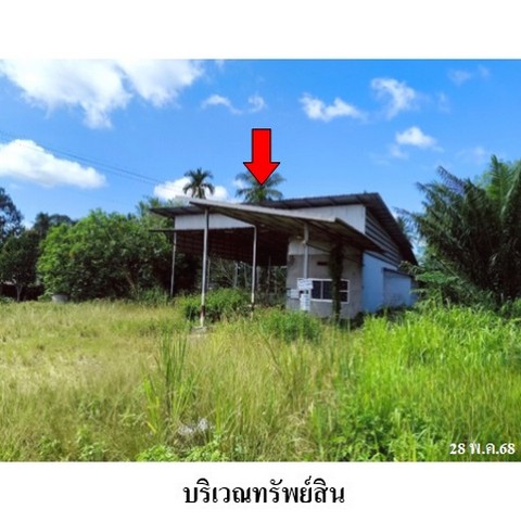 ประกาศฟรี! ซื้อ-ขาย-เช่า คอนโด บ้าน ทาวน์โฮม ที่ดิน และพื้นที่เชิงพาณิชย์ทั่วประเทศไทย ทุกทำเล ทุกงบประมาณ ไม่มีค่าใช้จ่าย ลงง่าย ขายไว เข้าถึงผู้ซื้อโดยตรง 3 231096pic2.jpg