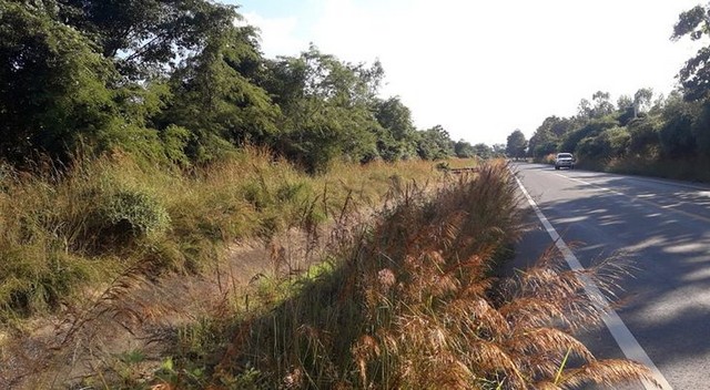 ประกาศฟรี! ซื้อ-ขาย-เช่า คอนโด บ้าน ทาวน์โฮม ที่ดิน และพื้นที่เชิงพาณิชย์ทั่วประเทศไทย ทุกทำเล ทุกงบประมาณ ไม่มีค่าใช้จ่าย ลงง่าย ขายไว เข้าถึงผู้ซื้อโดยตรง 4 293344pic3.jpg