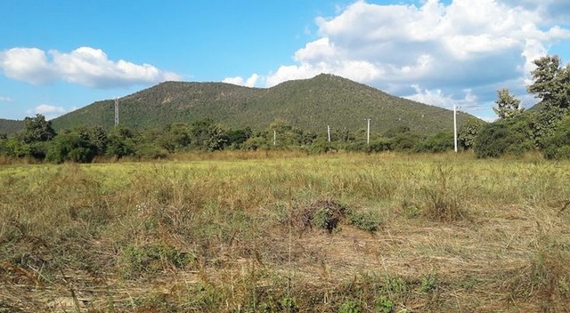 ประกาศฟรี! ซื้อ-ขาย-เช่า คอนโด บ้าน ทาวน์โฮม ที่ดิน และพื้นที่เชิงพาณิชย์ทั่วประเทศไทย ทุกทำเล ทุกงบประมาณ ไม่มีค่าใช้จ่าย ลงง่าย ขายไว เข้าถึงผู้ซื้อโดยตรง 5 293344pic4.jpg