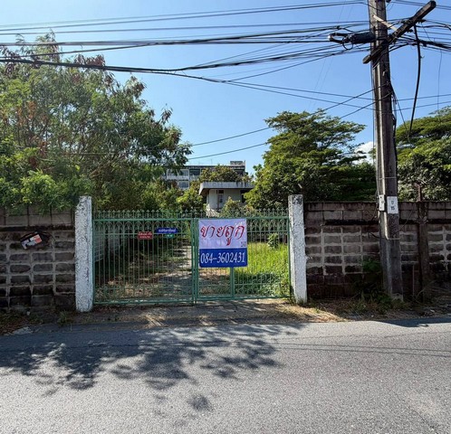 ประกาศฟรี! ซื้อ-ขาย-เช่า คอนโด บ้าน ทาวน์โฮม ที่ดิน และพื้นที่เชิงพาณิชย์ทั่วประเทศไทย ทุกทำเล ทุกงบประมาณ ไม่มีค่าใช้จ่าย ลงง่าย ขายไว เข้าถึงผู้ซื้อโดยตรง 3 246302pic2.jpg