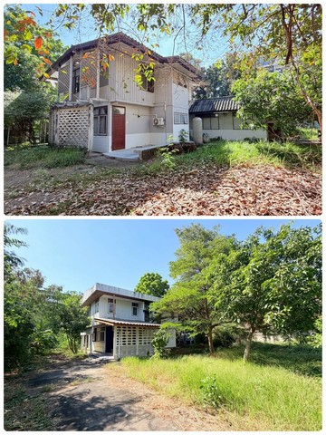 ประกาศฟรี! ซื้อ-ขาย-เช่า คอนโด บ้าน ทาวน์โฮม ที่ดิน และพื้นที่เชิงพาณิชย์ทั่วประเทศไทย ทุกทำเล ทุกงบประมาณ ไม่มีค่าใช้จ่าย ลงง่าย ขายไว เข้าถึงผู้ซื้อโดยตรง 5 246302pic4.jpg