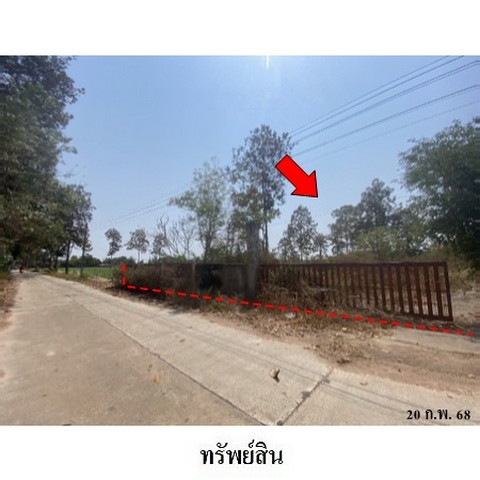 ประกาศฟรี! ซื้อ-ขาย-เช่า คอนโด บ้าน ทาวน์โฮม ที่ดิน และพื้นที่เชิงพาณิชย์ทั่วประเทศไทย ทุกทำเล ทุกงบประมาณ ไม่มีค่าใช้จ่าย ลงง่าย ขายไว เข้าถึงผู้ซื้อโดยตรง 3 231218pic2.jpg