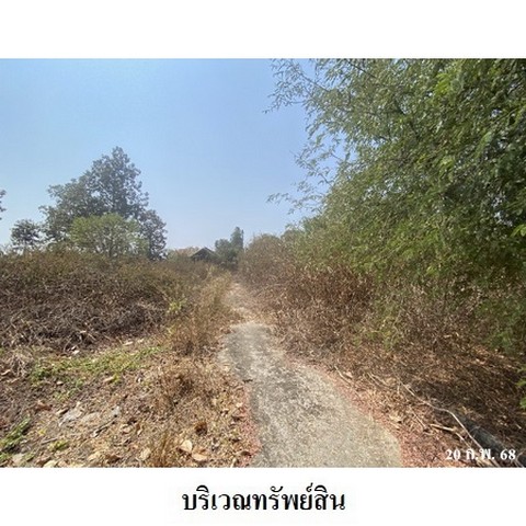 ประกาศฟรี! ซื้อ-ขาย-เช่า คอนโด บ้าน ทาวน์โฮม ที่ดิน และพื้นที่เชิงพาณิชย์ทั่วประเทศไทย ทุกทำเล ทุกงบประมาณ ไม่มีค่าใช้จ่าย ลงง่าย ขายไว เข้าถึงผู้ซื้อโดยตรง 4 231218pic3.jpg