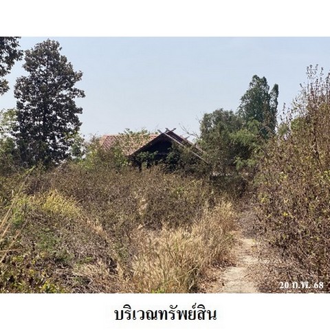 ประกาศฟรี! ซื้อ-ขาย-เช่า คอนโด บ้าน ทาวน์โฮม ที่ดิน และพื้นที่เชิงพาณิชย์ทั่วประเทศไทย ทุกทำเล ทุกงบประมาณ ไม่มีค่าใช้จ่าย ลงง่าย ขายไว เข้าถึงผู้ซื้อโดยตรง 5 231218pic4.jpg