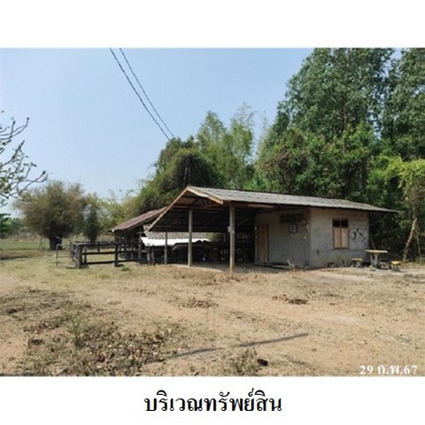 ประกาศฟรี! ซื้อ-ขาย-เช่า คอนโด บ้าน ทาวน์โฮม ที่ดิน และพื้นที่เชิงพาณิชย์ทั่วประเทศไทย ทุกทำเล ทุกงบประมาณ ไม่มีค่าใช้จ่าย ลงง่าย ขายไว เข้าถึงผู้ซื้อโดยตรง 4 231207pic3.jpg