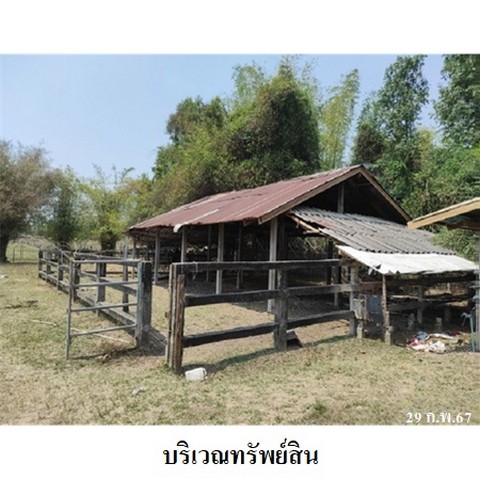 ประกาศฟรี! ซื้อ-ขาย-เช่า คอนโด บ้าน ทาวน์โฮม ที่ดิน และพื้นที่เชิงพาณิชย์ทั่วประเทศไทย ทุกทำเล ทุกงบประมาณ ไม่มีค่าใช้จ่าย ลงง่าย ขายไว เข้าถึงผู้ซื้อโดยตรง 5 231207pic4.jpg