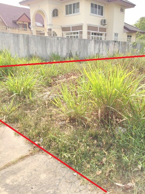 ประกาศฟรี! ซื้อ-ขาย-เช่า คอนโด บ้าน ทาวน์โฮม ที่ดิน และพื้นที่เชิงพาณิชย์ทั่วประเทศไทย ทุกทำเล ทุกงบประมาณ ไม่มีค่าใช้จ่าย ลงง่าย ขายไว เข้าถึงผู้ซื้อโดยตรง 2 312526pic1.jpg