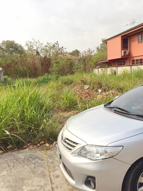 ประกาศฟรี! ซื้อ-ขาย-เช่า คอนโด บ้าน ทาวน์โฮม ที่ดิน และพื้นที่เชิงพาณิชย์ทั่วประเทศไทย ทุกทำเล ทุกงบประมาณ ไม่มีค่าใช้จ่าย ลงง่าย ขายไว เข้าถึงผู้ซื้อโดยตรง 4 312526pic3.jpg