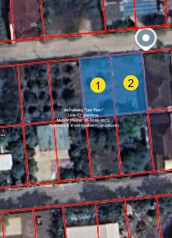 ประกาศฟรี! ซื้อ-ขาย-เช่า คอนโด บ้าน ทาวน์โฮม ที่ดิน และพื้นที่เชิงพาณิชย์ทั่วประเทศไทย ทุกทำเล ทุกงบประมาณ ไม่มีค่าใช้จ่าย ลงง่าย ขายไว เข้าถึงผู้ซื้อโดยตรง 2 286002pic1.jpg