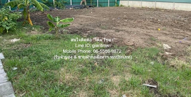 ประกาศฟรี! ซื้อ-ขาย-เช่า คอนโด บ้าน ทาวน์โฮม ที่ดิน และพื้นที่เชิงพาณิชย์ทั่วประเทศไทย ทุกทำเล ทุกงบประมาณ ไม่มีค่าใช้จ่าย ลงง่าย ขายไว เข้าถึงผู้ซื้อโดยตรง 5 286002pic4.jpg