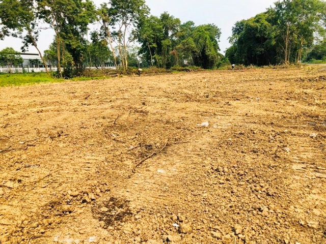 ประกาศฟรี! ซื้อ-ขาย-เช่า คอนโด บ้าน ทาวน์โฮม ที่ดิน และพื้นที่เชิงพาณิชย์ทั่วประเทศไทย ทุกทำเล ทุกงบประมาณ ไม่มีค่าใช้จ่าย ลงง่าย ขายไว เข้าถึงผู้ซื้อโดยตรง 5 246233pic4.jpg