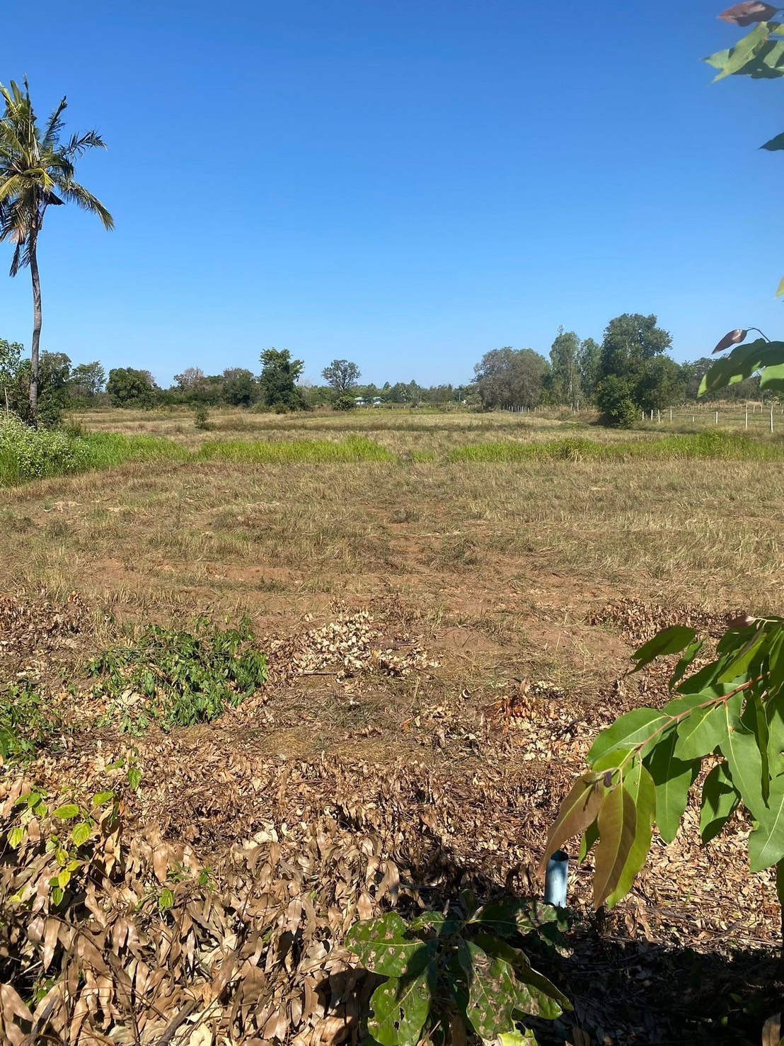 ประกาศฟรี! ซื้อ-ขาย-เช่า คอนโด บ้าน ทาวน์โฮม ที่ดิน และพื้นที่เชิงพาณิชย์ทั่วประเทศไทย ทุกทำเล ทุกงบประมาณ ไม่มีค่าใช้จ่าย ลงง่าย ขายไว เข้าถึงผู้ซื้อโดยตรง 2 312570pic1.jpg