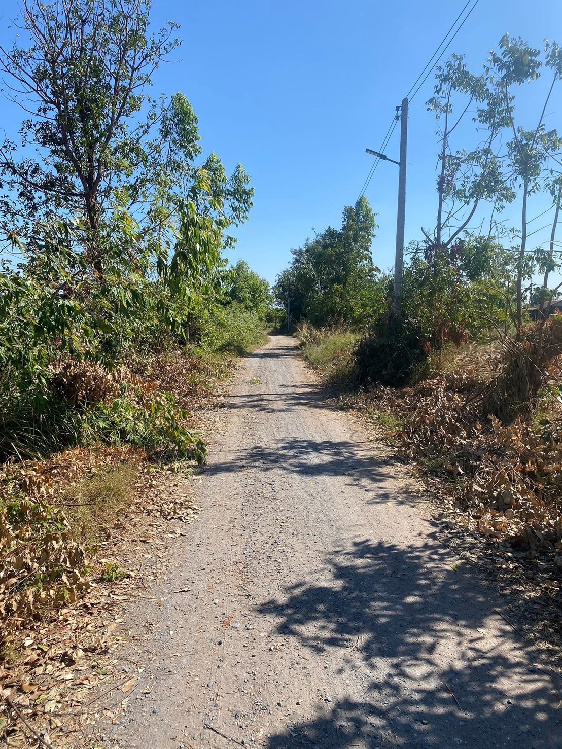 ประกาศฟรี! ซื้อ-ขาย-เช่า คอนโด บ้าน ทาวน์โฮม ที่ดิน และพื้นที่เชิงพาณิชย์ทั่วประเทศไทย ทุกทำเล ทุกงบประมาณ ไม่มีค่าใช้จ่าย ลงง่าย ขายไว เข้าถึงผู้ซื้อโดยตรง 3 312570pic2.jpg