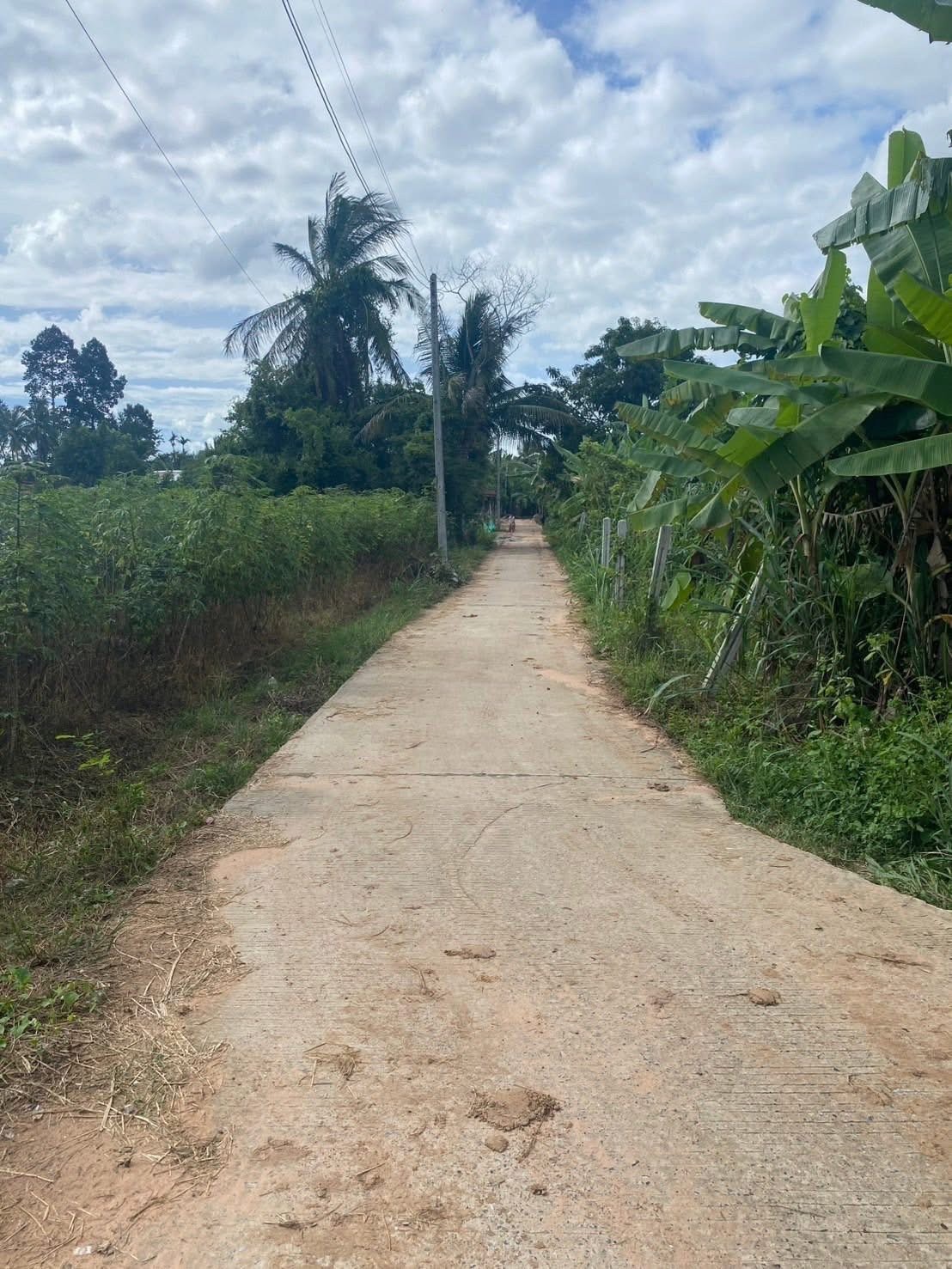 ประกาศฟรี! ซื้อ-ขาย-เช่า คอนโด บ้าน ทาวน์โฮม ที่ดิน และพื้นที่เชิงพาณิชย์ทั่วประเทศไทย ทุกทำเล ทุกงบประมาณ ไม่มีค่าใช้จ่าย ลงง่าย ขายไว เข้าถึงผู้ซื้อโดยตรง 3 312569pic2.jpg