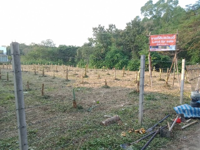 ประกาศฟรี! ซื้อ-ขาย-เช่า คอนโด บ้าน ทาวน์โฮม ที่ดิน และพื้นที่เชิงพาณิชย์ทั่วประเทศไทย ทุกทำเล ทุกงบประมาณ ไม่มีค่าใช้จ่าย ลงง่าย ขายไว เข้าถึงผู้ซื้อโดยตรง 2 246355pic1.jpg