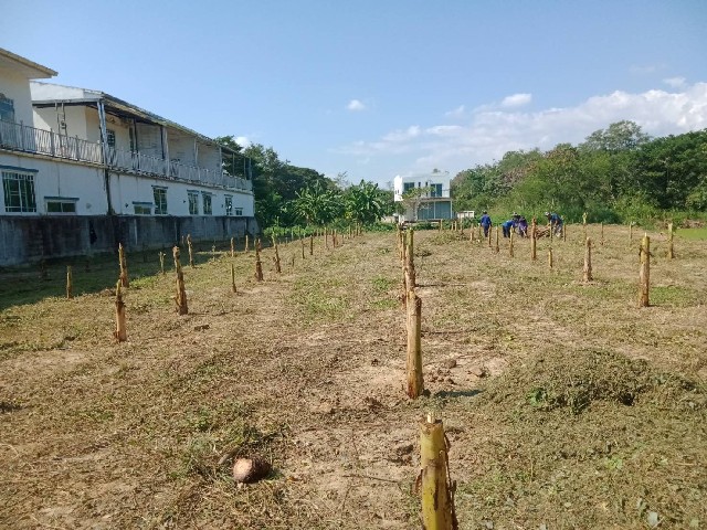 ประกาศฟรี! ซื้อ-ขาย-เช่า คอนโด บ้าน ทาวน์โฮม ที่ดิน และพื้นที่เชิงพาณิชย์ทั่วประเทศไทย ทุกทำเล ทุกงบประมาณ ไม่มีค่าใช้จ่าย ลงง่าย ขายไว เข้าถึงผู้ซื้อโดยตรง 3 246355pic2.jpg