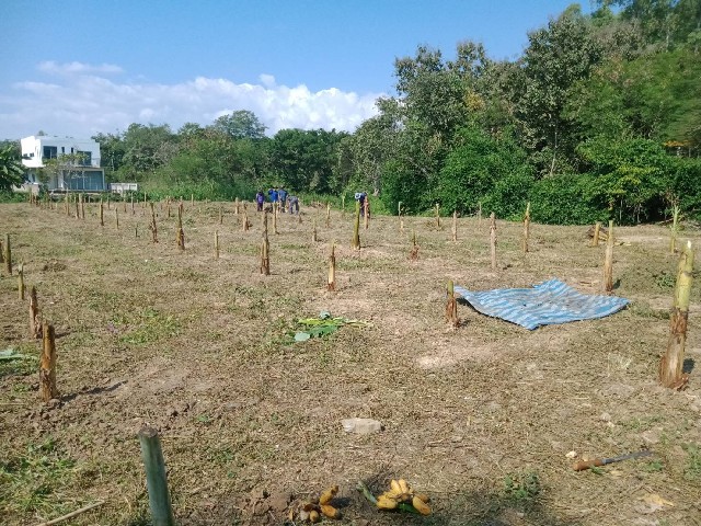 ประกาศฟรี! ซื้อ-ขาย-เช่า คอนโด บ้าน ทาวน์โฮม ที่ดิน และพื้นที่เชิงพาณิชย์ทั่วประเทศไทย ทุกทำเล ทุกงบประมาณ ไม่มีค่าใช้จ่าย ลงง่าย ขายไว เข้าถึงผู้ซื้อโดยตรง 4 246355pic3.jpg