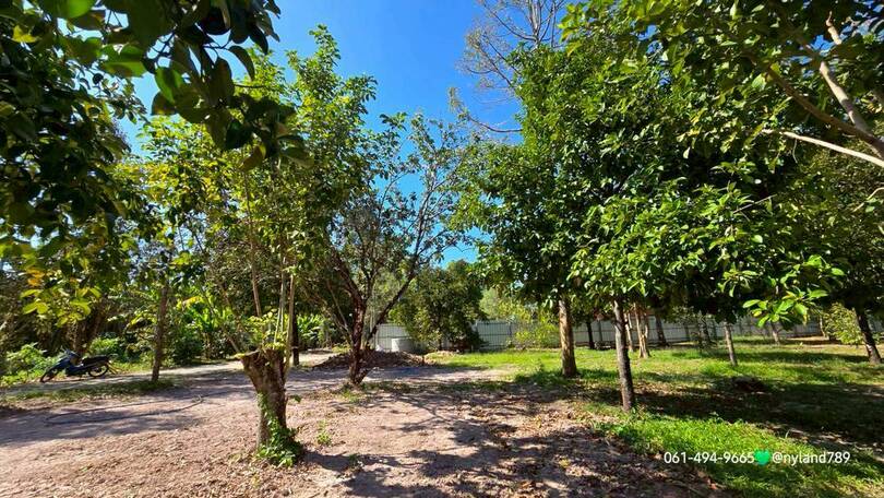 ประกาศฟรี! ซื้อ-ขาย-เช่า คอนโด บ้าน ทาวน์โฮม ที่ดิน และพื้นที่เชิงพาณิชย์ทั่วประเทศไทย ทุกทำเล ทุกงบประมาณ ไม่มีค่าใช้จ่าย ลงง่าย ขายไว เข้าถึงผู้ซื้อโดยตรง 2 508836pic1.jpg