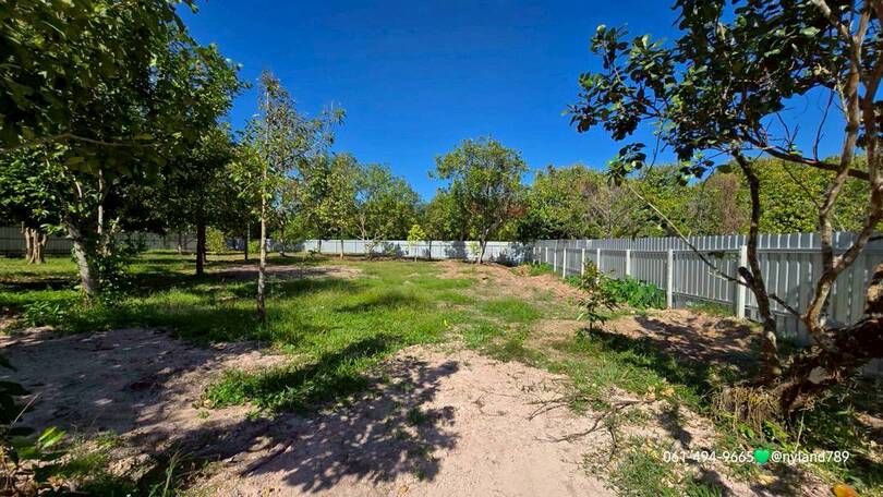 ประกาศฟรี! ซื้อ-ขาย-เช่า คอนโด บ้าน ทาวน์โฮม ที่ดิน และพื้นที่เชิงพาณิชย์ทั่วประเทศไทย ทุกทำเล ทุกงบประมาณ ไม่มีค่าใช้จ่าย ลงง่าย ขายไว เข้าถึงผู้ซื้อโดยตรง 4 508836pic3.jpg