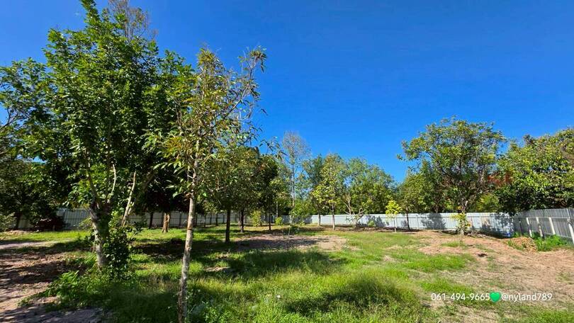 ประกาศฟรี! ซื้อ-ขาย-เช่า คอนโด บ้าน ทาวน์โฮม ที่ดิน และพื้นที่เชิงพาณิชย์ทั่วประเทศไทย ทุกทำเล ทุกงบประมาณ ไม่มีค่าใช้จ่าย ลงง่าย ขายไว เข้าถึงผู้ซื้อโดยตรง 5 508836pic4.jpg