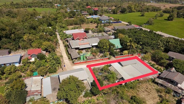 ประกาศฟรี! ซื้อ-ขาย-เช่า คอนโด บ้าน ทาวน์โฮม ที่ดิน และพื้นที่เชิงพาณิชย์ทั่วประเทศไทย ทุกทำเล ทุกงบประมาณ ไม่มีค่าใช้จ่าย ลงง่าย ขายไว เข้าถึงผู้ซื้อโดยตรง 2 312637pic1.jpg