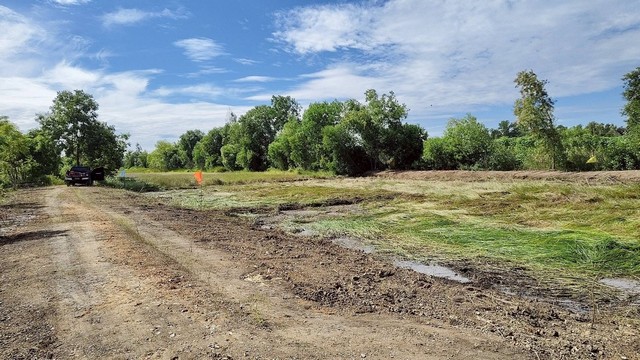 ประกาศฟรี! ซื้อ-ขาย-เช่า คอนโด บ้าน ทาวน์โฮม ที่ดิน และพื้นที่เชิงพาณิชย์ทั่วประเทศไทย ทุกทำเล ทุกงบประมาณ ไม่มีค่าใช้จ่าย ลงง่าย ขายไว เข้าถึงผู้ซื้อโดยตรง 5 293146pic4.jpg