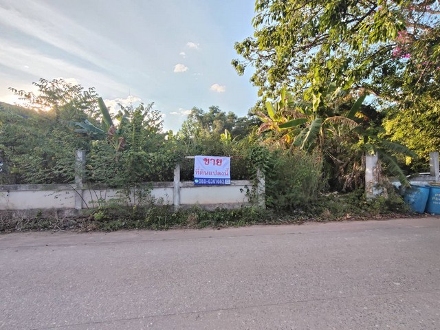 ประกาศฟรี! ซื้อ-ขาย-เช่า คอนโด บ้าน ทาวน์โฮม ที่ดิน และพื้นที่เชิงพาณิชย์ทั่วประเทศไทย ทุกทำเล ทุกงบประมาณ ไม่มีค่าใช้จ่าย ลงง่าย ขายไว เข้าถึงผู้ซื้อโดยตรง 4 293426pic3.jpg