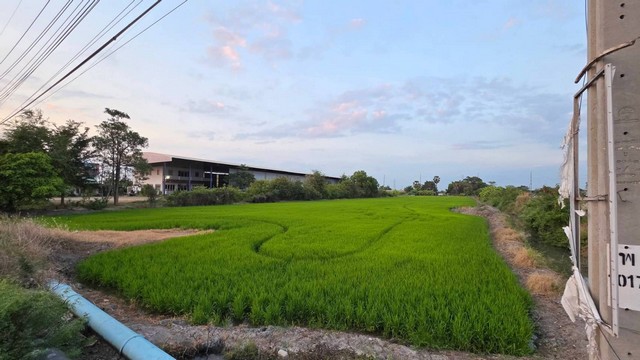 ประกาศฟรี! ซื้อ-ขาย-เช่า คอนโด บ้าน ทาวน์โฮม ที่ดิน และพื้นที่เชิงพาณิชย์ทั่วประเทศไทย ทุกทำเล ทุกงบประมาณ ไม่มีค่าใช้จ่าย ลงง่าย ขายไว เข้าถึงผู้ซื้อโดยตรง 3 246469pic2.jpg