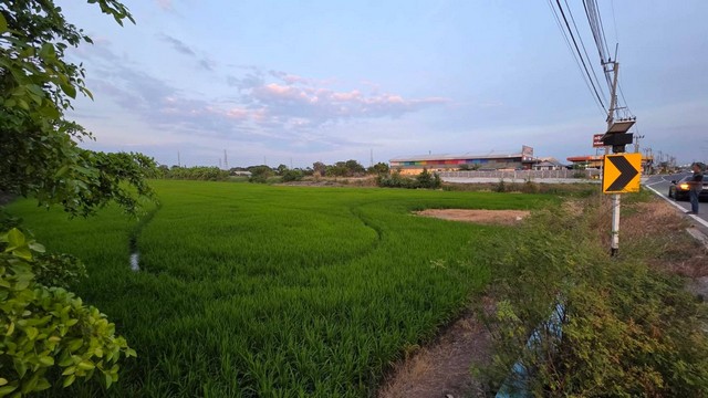 ประกาศฟรี! ซื้อ-ขาย-เช่า คอนโด บ้าน ทาวน์โฮม ที่ดิน และพื้นที่เชิงพาณิชย์ทั่วประเทศไทย ทุกทำเล ทุกงบประมาณ ไม่มีค่าใช้จ่าย ลงง่าย ขายไว เข้าถึงผู้ซื้อโดยตรง 4 246469pic3.jpg