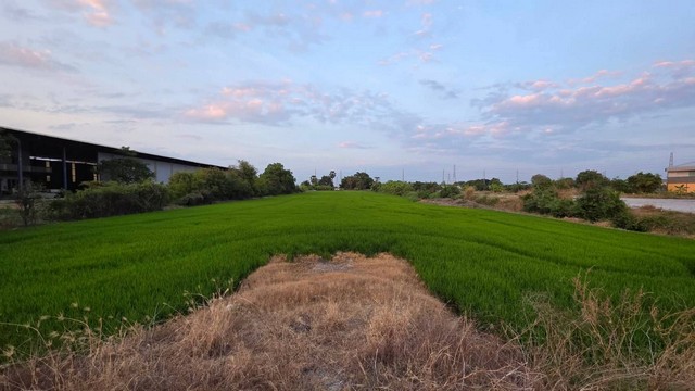 ประกาศฟรี! ซื้อ-ขาย-เช่า คอนโด บ้าน ทาวน์โฮม ที่ดิน และพื้นที่เชิงพาณิชย์ทั่วประเทศไทย ทุกทำเล ทุกงบประมาณ ไม่มีค่าใช้จ่าย ลงง่าย ขายไว เข้าถึงผู้ซื้อโดยตรง 5 246469pic4.jpg