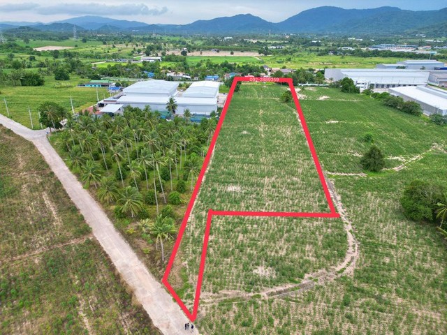 ประกาศฟรี! ซื้อ-ขาย-เช่า คอนโด บ้าน ทาวน์โฮม ที่ดิน และพื้นที่เชิงพาณิชย์ทั่วประเทศไทย ทุกทำเล ทุกงบประมาณ ไม่มีค่าใช้จ่าย ลงง่าย ขายไว เข้าถึงผู้ซื้อโดยตรง 3 294346pic2.jpg