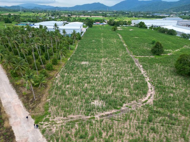 ประกาศฟรี! ซื้อ-ขาย-เช่า คอนโด บ้าน ทาวน์โฮม ที่ดิน และพื้นที่เชิงพาณิชย์ทั่วประเทศไทย ทุกทำเล ทุกงบประมาณ ไม่มีค่าใช้จ่าย ลงง่าย ขายไว เข้าถึงผู้ซื้อโดยตรง 4 294346pic3.jpg