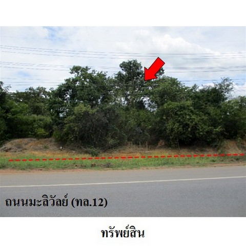 ประกาศฟรี! ซื้อ-ขาย-เช่า คอนโด บ้าน ทาวน์โฮม ที่ดิน และพื้นที่เชิงพาณิชย์ทั่วประเทศไทย ทุกทำเล ทุกงบประมาณ ไม่มีค่าใช้จ่าย ลงง่าย ขายไว เข้าถึงผู้ซื้อโดยตรง 3 231455pic2.jpg