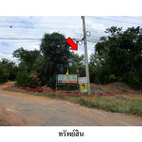 ประกาศฟรี! ซื้อ-ขาย-เช่า คอนโด บ้าน ทาวน์โฮม ที่ดิน และพื้นที่เชิงพาณิชย์ทั่วประเทศไทย ทุกทำเล ทุกงบประมาณ ไม่มีค่าใช้จ่าย ลงง่าย ขายไว เข้าถึงผู้ซื้อโดยตรง 5 231455pic4.jpg