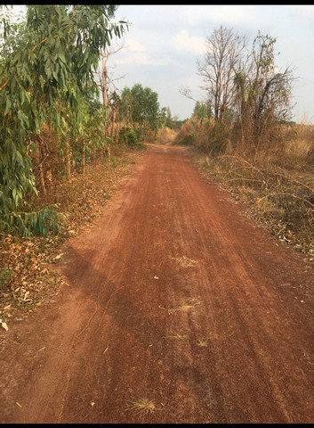 ประกาศฟรี! ซื้อ-ขาย-เช่า คอนโด บ้าน ทาวน์โฮม ที่ดิน และพื้นที่เชิงพาณิชย์ทั่วประเทศไทย ทุกทำเล ทุกงบประมาณ ไม่มีค่าใช้จ่าย ลงง่าย ขายไว เข้าถึงผู้ซื้อโดยตรง 3 312746pic2.jpg