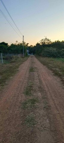 ประกาศฟรี! ซื้อ-ขาย-เช่า คอนโด บ้าน ทาวน์โฮม ที่ดิน และพื้นที่เชิงพาณิชย์ทั่วประเทศไทย ทุกทำเล ทุกงบประมาณ ไม่มีค่าใช้จ่าย ลงง่าย ขายไว เข้าถึงผู้ซื้อโดยตรง 5 293436pic4.jpg