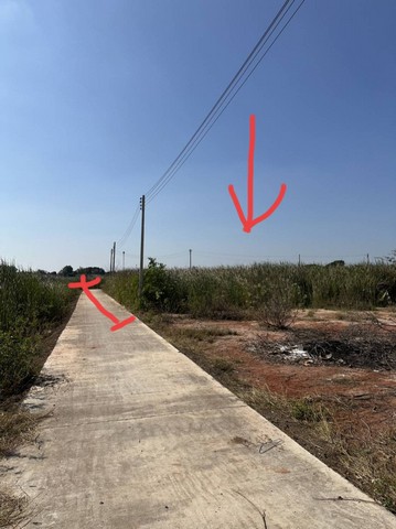 ประกาศฟรี! ซื้อ-ขาย-เช่า คอนโด บ้าน ทาวน์โฮม ที่ดิน และพื้นที่เชิงพาณิชย์ทั่วประเทศไทย ทุกทำเล ทุกงบประมาณ ไม่มีค่าใช้จ่าย ลงง่าย ขายไว เข้าถึงผู้ซื้อโดยตรง 2 293435pic1.jpg