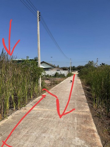 ประกาศฟรี! ซื้อ-ขาย-เช่า คอนโด บ้าน ทาวน์โฮม ที่ดิน และพื้นที่เชิงพาณิชย์ทั่วประเทศไทย ทุกทำเล ทุกงบประมาณ ไม่มีค่าใช้จ่าย ลงง่าย ขายไว เข้าถึงผู้ซื้อโดยตรง 4 293435pic3.jpg