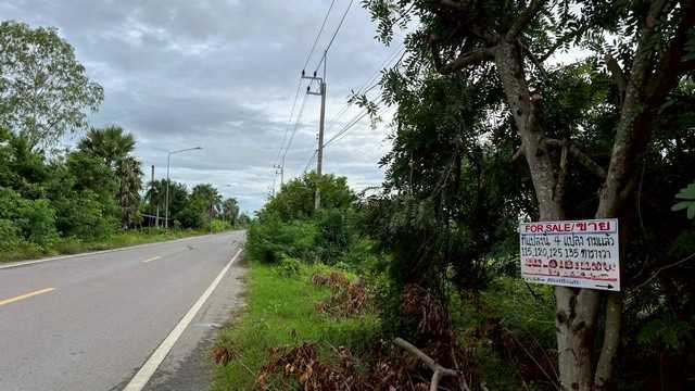 ประกาศฟรี! ซื้อ-ขาย-เช่า คอนโด บ้าน ทาวน์โฮม ที่ดิน และพื้นที่เชิงพาณิชย์ทั่วประเทศไทย ทุกทำเล ทุกงบประมาณ ไม่มีค่าใช้จ่าย ลงง่าย ขายไว เข้าถึงผู้ซื้อโดยตรง 3 247075pic2.jpg