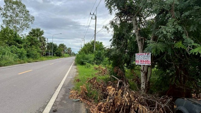 ประกาศฟรี! ซื้อ-ขาย-เช่า คอนโด บ้าน ทาวน์โฮม ที่ดิน และพื้นที่เชิงพาณิชย์ทั่วประเทศไทย ทุกทำเล ทุกงบประมาณ ไม่มีค่าใช้จ่าย ลงง่าย ขายไว เข้าถึงผู้ซื้อโดยตรง 4 247075pic3.jpg