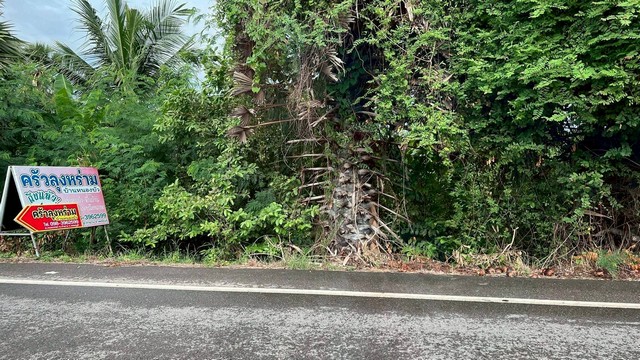 ประกาศฟรี! ซื้อ-ขาย-เช่า คอนโด บ้าน ทาวน์โฮม ที่ดิน และพื้นที่เชิงพาณิชย์ทั่วประเทศไทย ทุกทำเล ทุกงบประมาณ ไม่มีค่าใช้จ่าย ลงง่าย ขายไว เข้าถึงผู้ซื้อโดยตรง 5 247070pic4.jpg