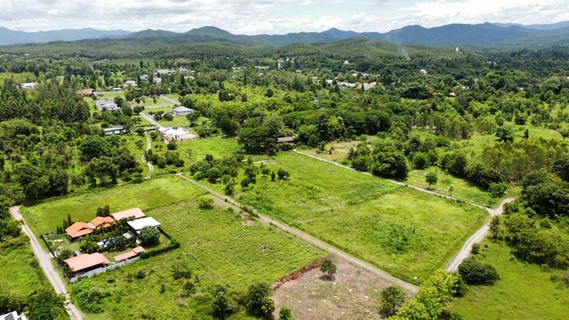 ประกาศฟรี! ซื้อ-ขาย-เช่า คอนโด บ้าน ทาวน์โฮม ที่ดิน และพื้นที่เชิงพาณิชย์ทั่วประเทศไทย ทุกทำเล ทุกงบประมาณ ไม่มีค่าใช้จ่าย ลงง่าย ขายไว เข้าถึงผู้ซื้อโดยตรง 3 293443pic2.jpg